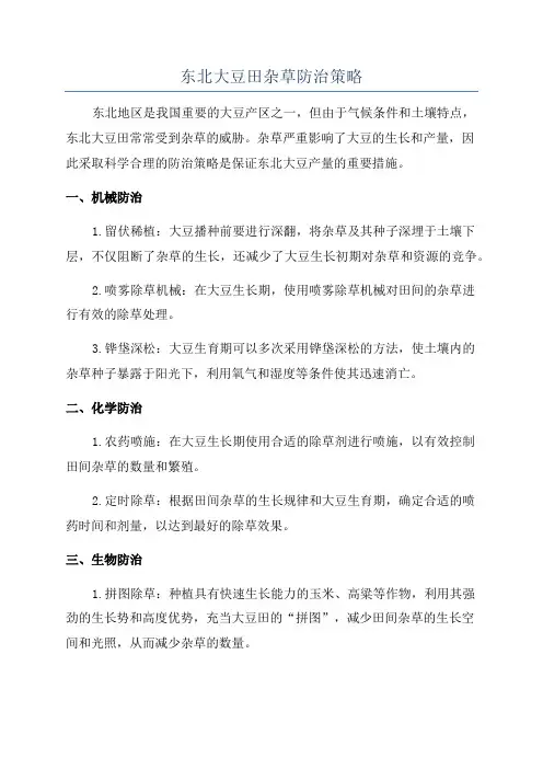 东北大豆田杂草防治策略
