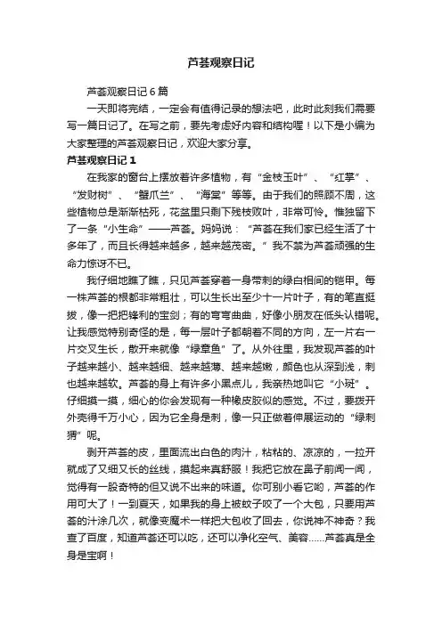 芦荟观察日记6篇