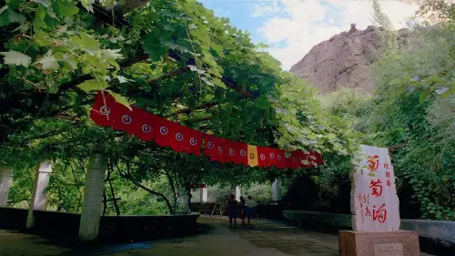 二年级语文上册11 葡萄沟【标准版】 课件