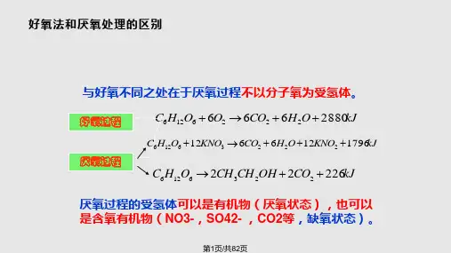 污水处理常规工艺   厌氧生物处理PPT课件