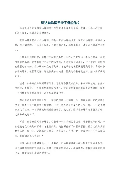 讲述蜘蛛网坚持不懈的作文
