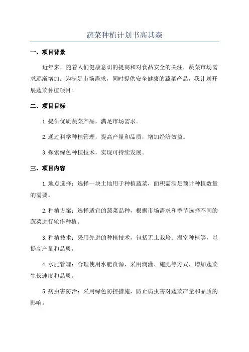 蔬菜种植计划书高其森