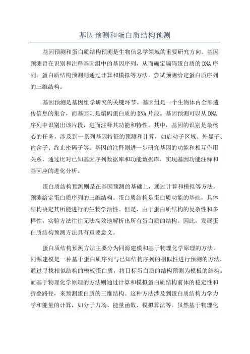 基因预测和蛋白质结构预测