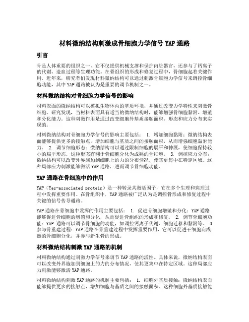 材料微纳结构刺激成骨细胞力学信号yap通路