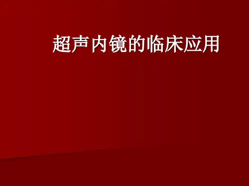 超声内镜检查(胃肠道)