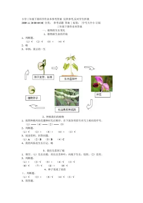 小学三年级下册科学作业本参考答案 仅供参考