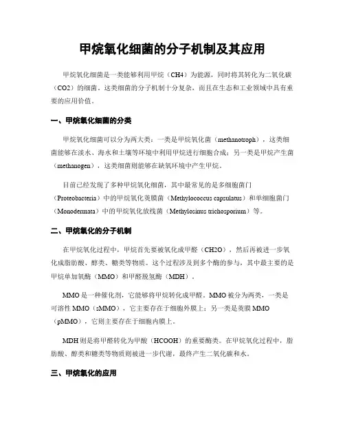 甲烷氧化细菌的分子机制及其应用