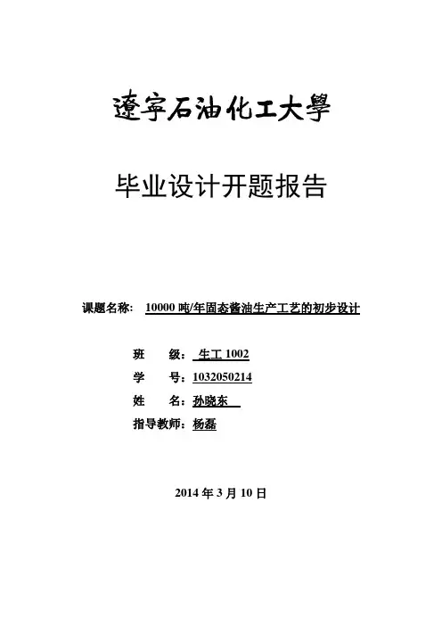 孙晓东开题报告