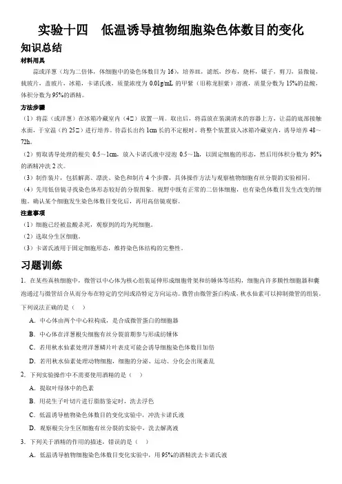 实验十四低温诱导植物细胞染色体数目的变化-2024高考生物实验专题探究
