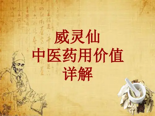中药学_威灵仙_药材详解课件模板