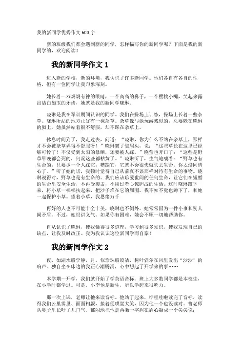 我的新同学优秀作文600字