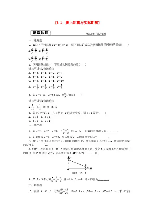 九年级数学下册第6章图形的相似6.1图上距离与实际距离同步练习