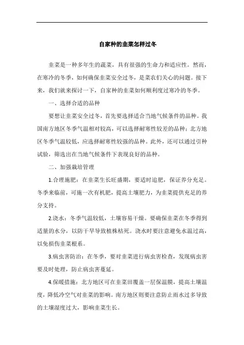 自家种的韭菜怎样过冬