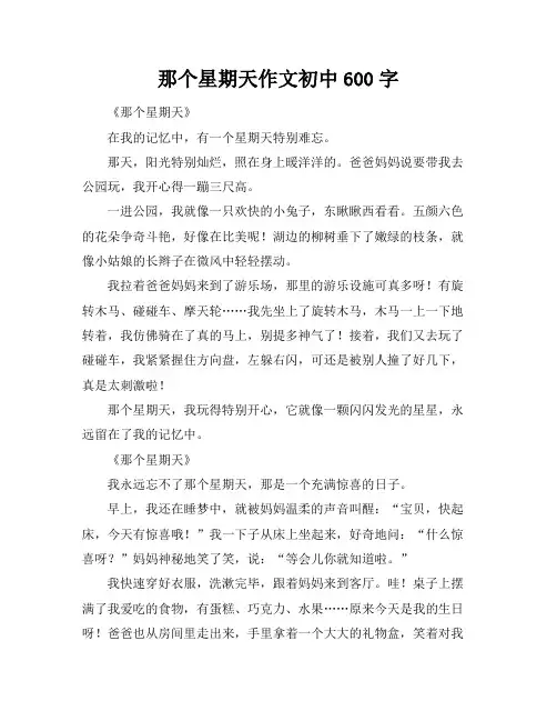 那个星期天作文初中600字
