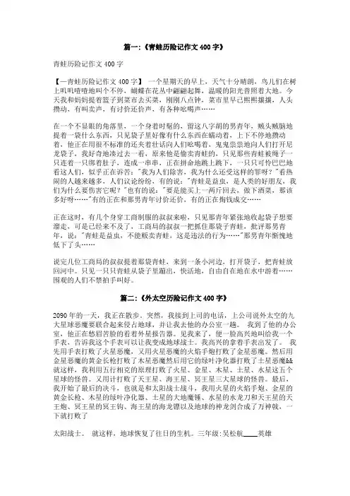 我的历险记作文400字