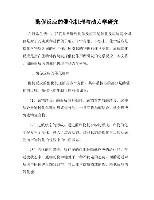 酶促反应的催化机理与动力学研究