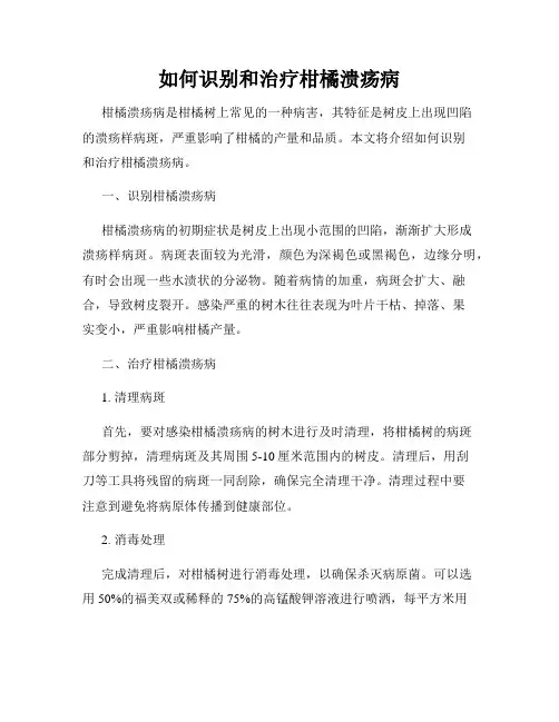 如何识别和治疗柑橘溃疡病