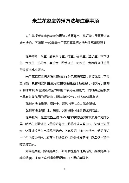 米兰花家庭养殖方法与注意事项
