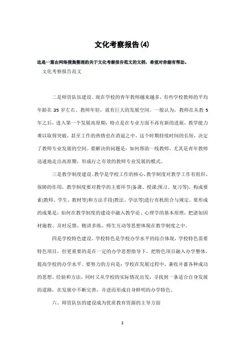 文化考察报告(4)