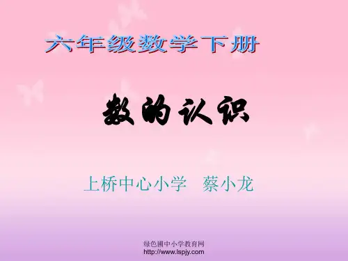 数与代数—数的认识