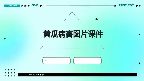 黄瓜病害图片课件