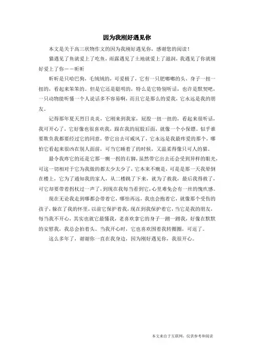 因为我刚好遇见你_高三状物作文