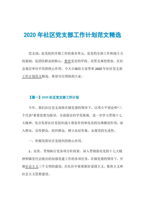 2020年社区党支部工作计划范文精选