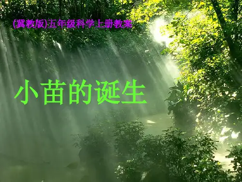五年级上册公开课-1小苗的诞生 冀教版课件下载