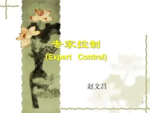 专家系统整体讲述课件