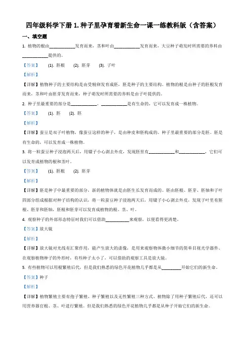 教科版科学四年级下册1.1 种子里孕育着新生命练习卷(解析版)