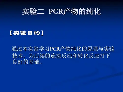 PCR产物的纯化