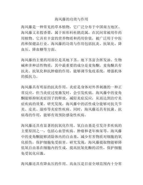 海风藤的功效与作用