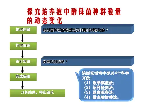 探究酵母菌种群数量变化ppt课件