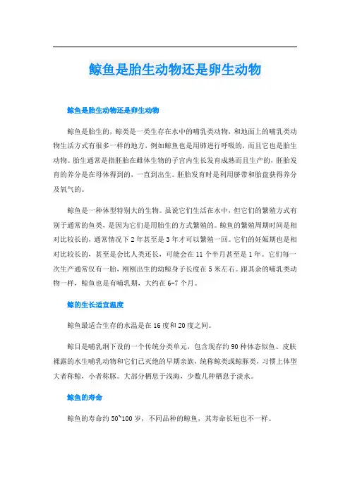 鲸鱼是胎生动物还是卵生动物