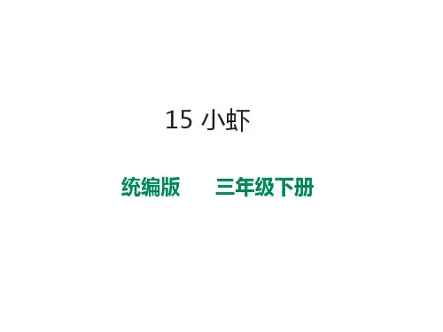 统编版三年级下册15《小虾》课件(20张PPT)