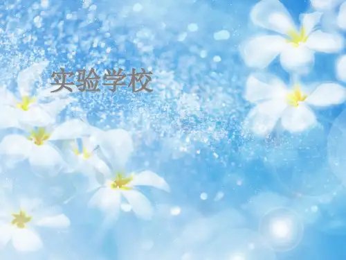 12玩具兵进行曲PPT课件