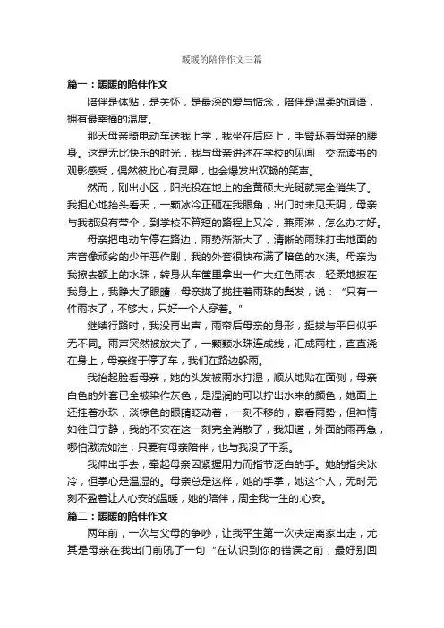 暖暖的陪伴作文三篇