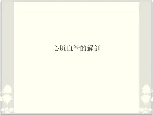 心脏血管的解剖冠脉解剖ppt课件
