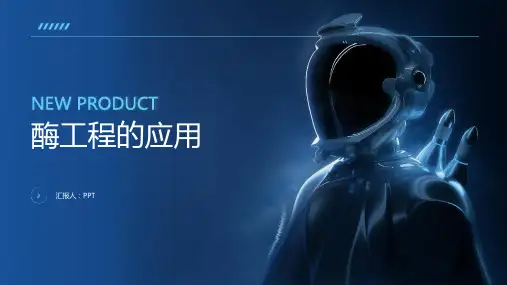 《酶工程的应用》课件