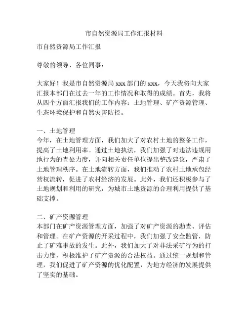市自然资源局工作汇报材料
