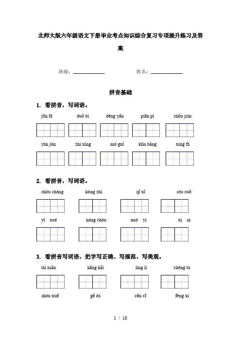 北师大版六年级语文下册毕业考点知识综合复习专项提升练习及答案
