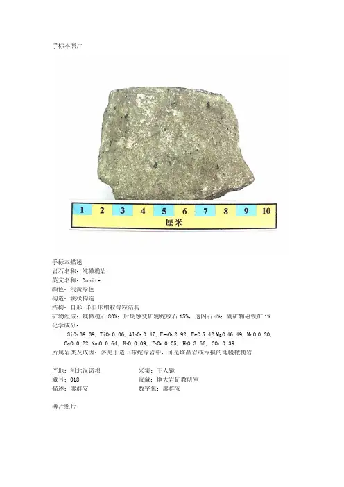 纯橄榄岩