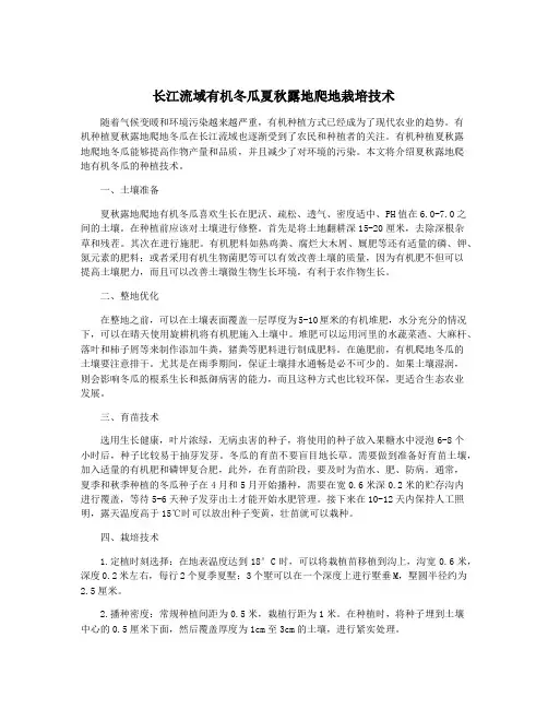 长江流域有机冬瓜夏秋露地爬地栽培技术