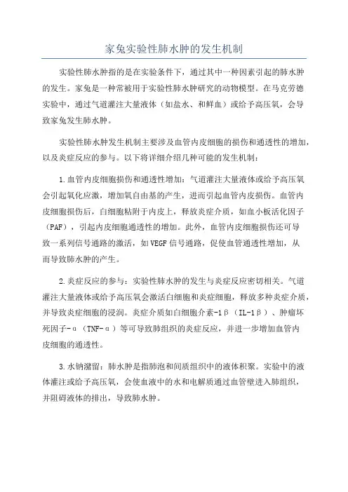 家兔实验性肺水肿的发生机制