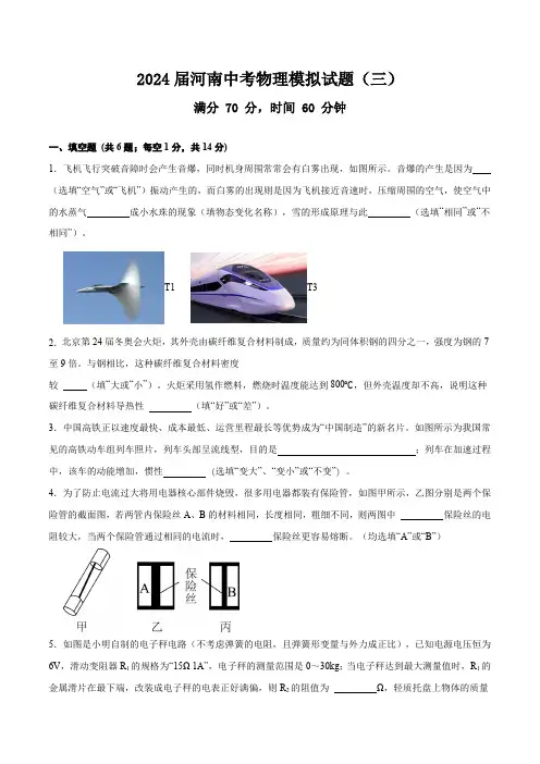 河南中考物理模拟试题(含答案) 2023-2024学年人教版物理九年级全一册