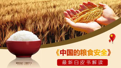 中国的粮食安全PPT