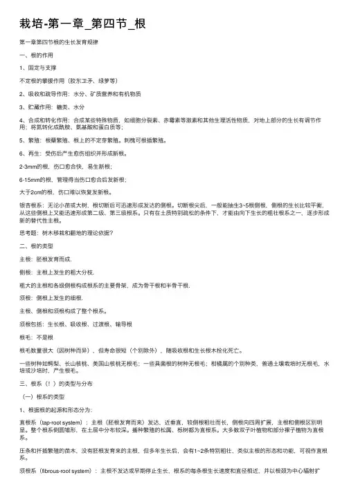 栽培-第一章_第四节_根