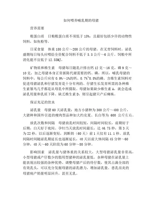 如何喂养哺乳期的母猪