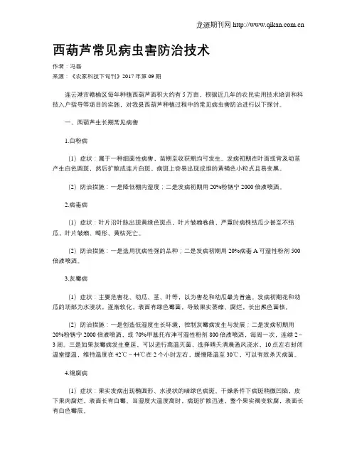 西葫芦常见病虫害防治技术 2
