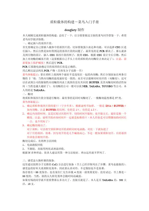 质粒载体的构建